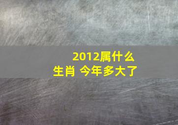 2012属什么生肖 今年多大了